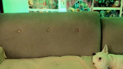 John carrie    Independent  Help me reach my goal 100 likes and 10000 followers  online show from 09.28.25