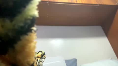 JOHN online show from 02.08.25