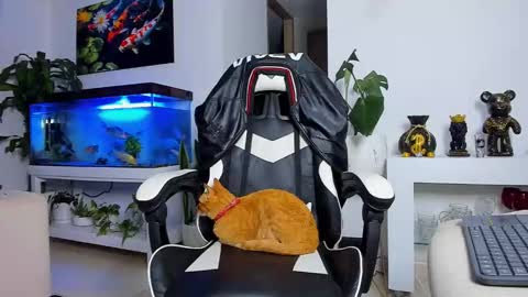 JOHNNY online show from 09.19.25