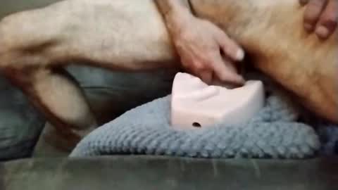 jojomojo648497 online show from 05.15.26