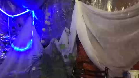 Jony Marta GMT 2000-0100 every day online show from 10.16.25