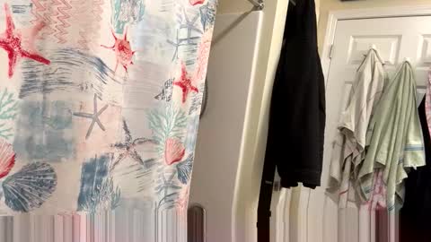 Snapshot of josephung1 chatting on 02.03.26 sissy josphine online show from 02.03.26