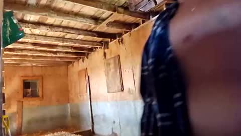 joshnewman540 online show from 09.14.25