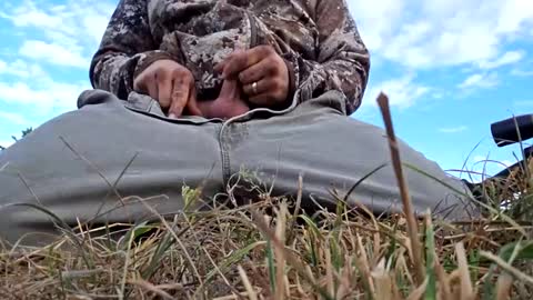 joshnewman540 online show from 09.28.25