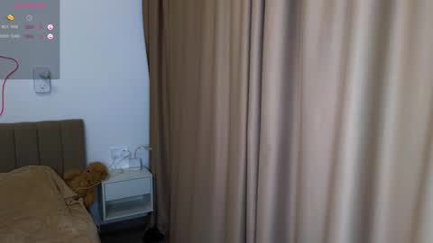 joybunny online show from 12.14.24