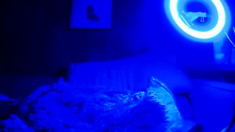 Snapshot of jroge21 chatting on 03.09.25 jroge21 online show from 03.09.25