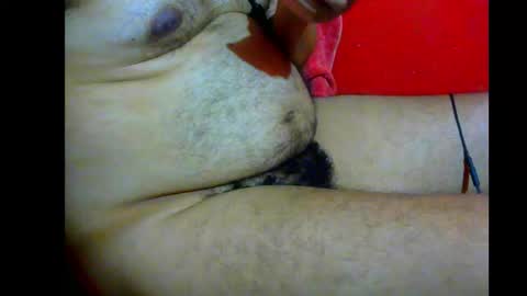 jshepeherdd online show from 03.29.26