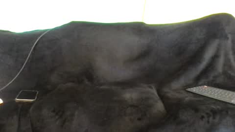 juanmamestre94 online show from 10.07.25