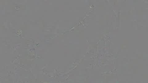 Jrgen Schnfeld online show from 11.24.25