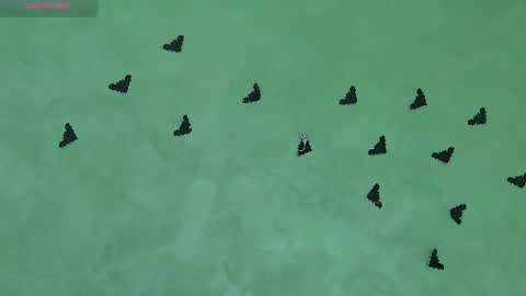 Julia online show from 11.05.25