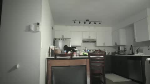 Sav online show from 12.05.25