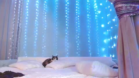 Julia online show from 11.29.25