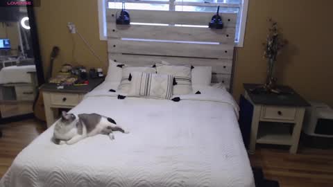 Texas Mamasita online show from 01.03.25