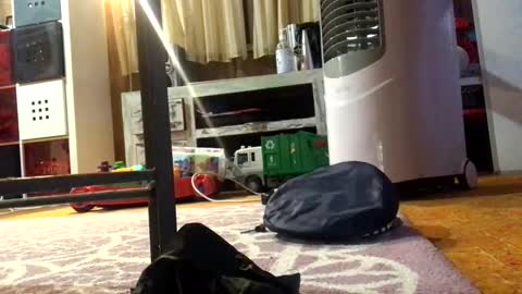 julieface87 online show from 03.26.26