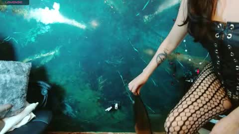    online show from 11.19.25