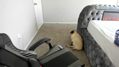 july online show from 09.16.25