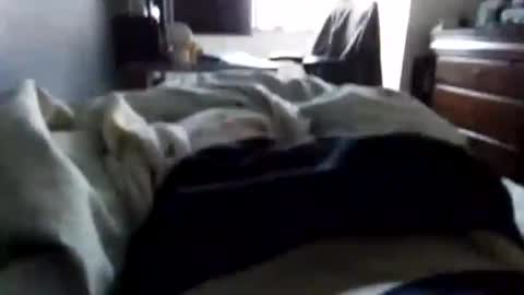 Asian office boy online show from 01.04.25