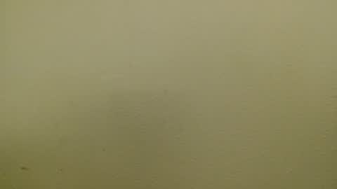 Just marlon online show from 01.17.25