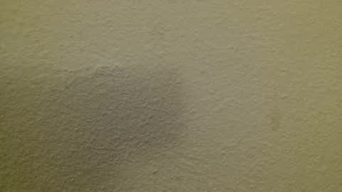 Just marlon online show from 02.23.25