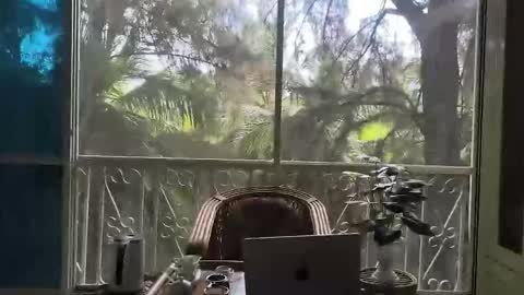 just_place online show from 12.02.25