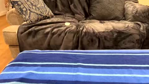 justuravgdad  justuravgmom online show from 02.17.25