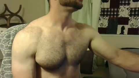 Wolf online show from 02.06.25