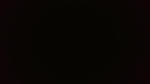 Wolf online show from 02.26.25