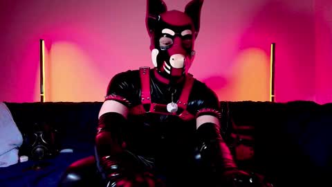 Snapshot of k9_goodboy chatting on 02.25.26 Alex online show from 02.25.26