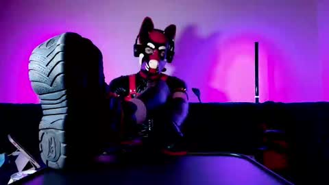 Snapshot of k9_goodboy chatting on 03.01.26 Alex online show from 03.01.26