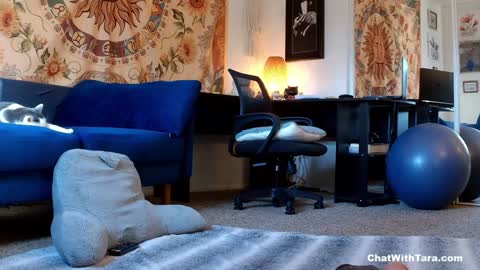 Snapshot of kalikushdreamz chatting on 01.14.25 Tara Smith online show from 01.14.25