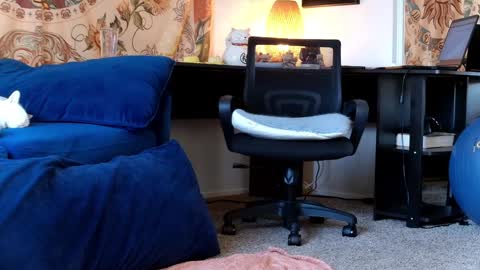 Snapshot of kalikushdreamz chatting on 01.30.25 Tara Smith online show from 01.30.25