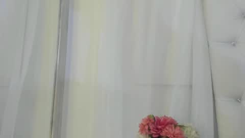 Snapshot of kamila_arias chatting on 03.07.25    online show from 03.07.25