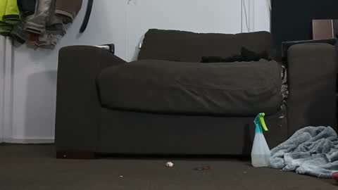 Kandy Dreams online show from 01.17.25