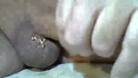 Kangarooh66 online show from 11.24.25