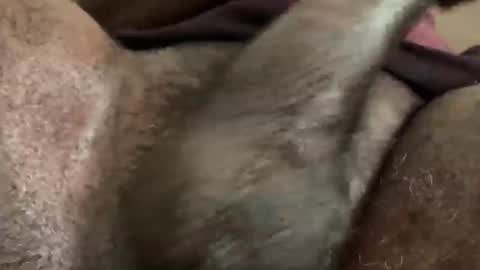 Snookie online show from 12.05.24