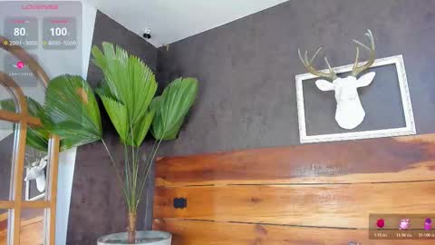   online show from 02.20.26