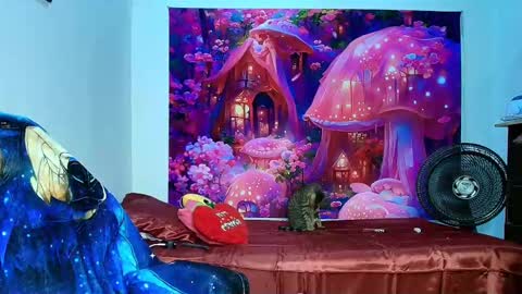    online show from 11.10.25