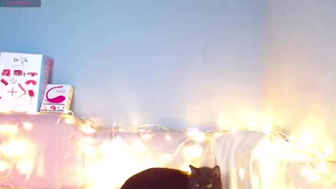 Snapshot of karolina_hottie_ chatting on 01.12.25 Kira online show from 01.12.25