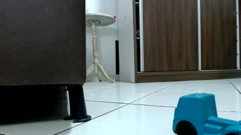 Snapshot of kasaltaradinho chatting on 10.09.25 Tamires e Maicon online show from 10.09.25