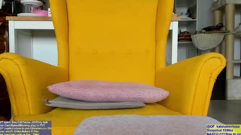    Kat - ModelIT studentnext stream  SUNDAY   PM stockholm time online show from 04.18.26