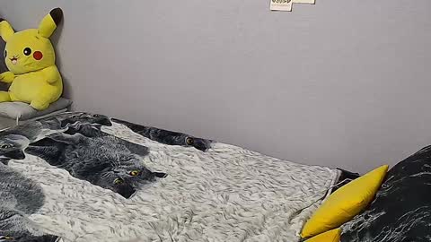 KathrineBerry online show from 01.31.25