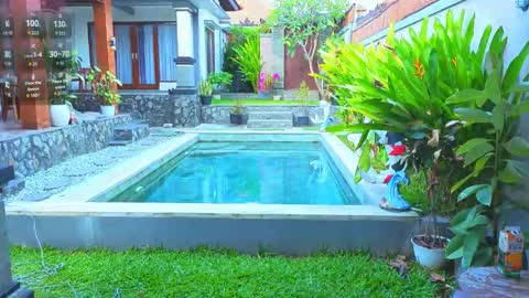 Katie online show from 04.20.26