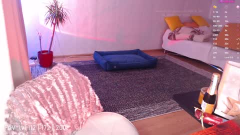 pvt open online show from 12.25.24