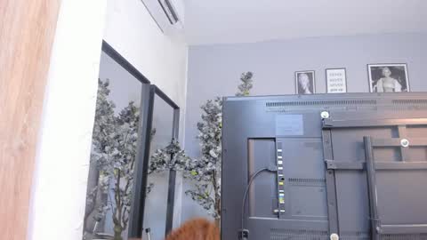 Katerine online show from 01.18.25