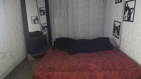 kattia online show from 02.01.25