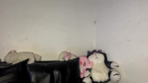 kattia online show from 03.16.26