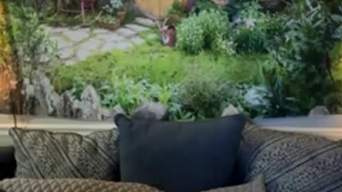 katy_chris online show from 06.04.26
