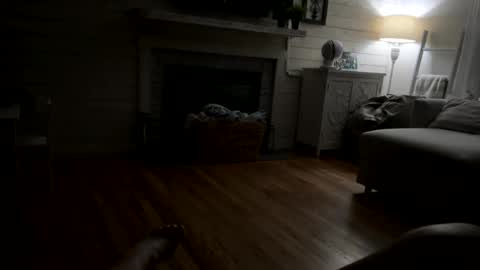 Kay9 online show from 04.15.26