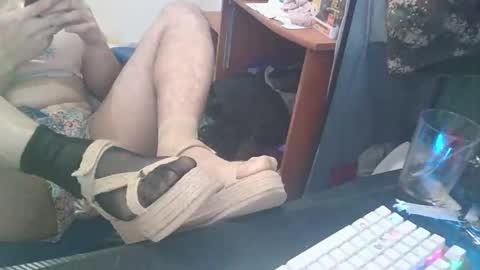 kcitrus online show from 02.24.26