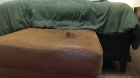 Steve online show from 03.23.26